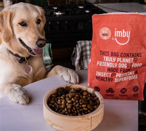 Insect Based Dog Food Hypoallergenic And Sustainable