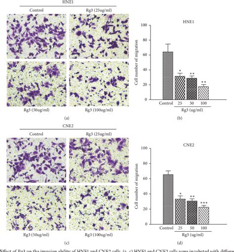 Figure From Ginsenoside Rg Inhibits Migration And Invasion Of