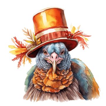 Cute Turkey In A Pilgrim Hat Watercolor Illustration Thanksgiving Day