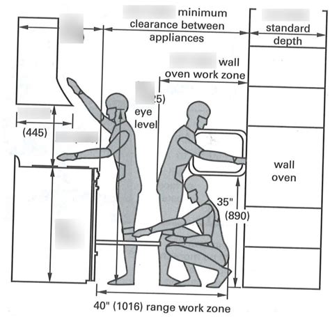 Anthropometrics Kitchen Diagram Quizlet