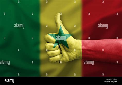 Hand Making Thumb Up Painted With Flag Of Senegal Stock Photo Alamy