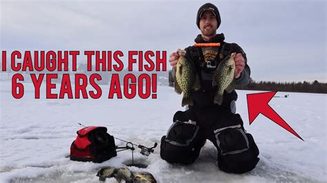 Ice Fishing Central Wisconsin Crappies Christmas Eve Crappie Fishing