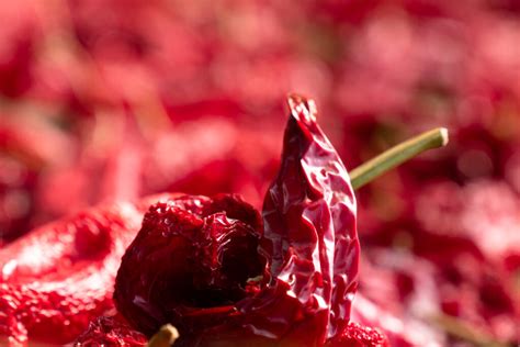 Come Si Cucina Il Peperone Crusco Masseria Agricola Buongiorno