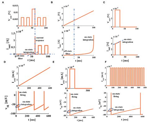 Frontiers Memristive Lif Spiking Neuron Model And Its Application In