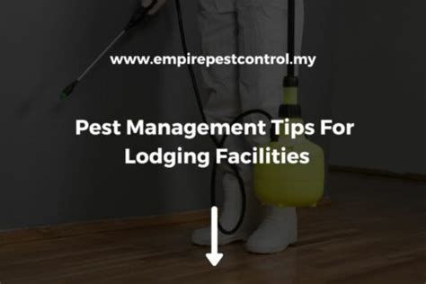 Pest Management Tips For Lodging Facilities 2023