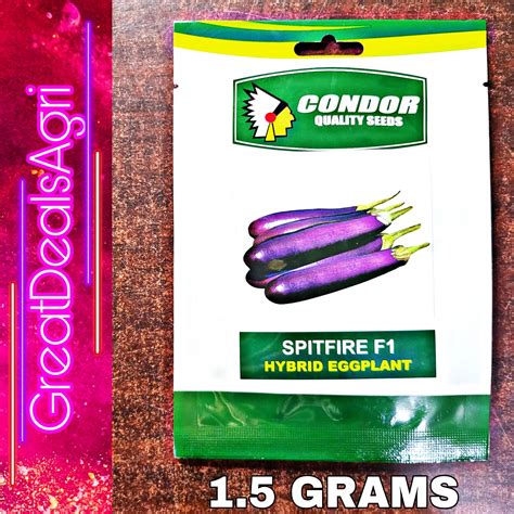 SPITFIRE F1 HYBRID EGGPLANT SEEDS 1 5 GRAMS CONDOR SEEDS Lazada PH