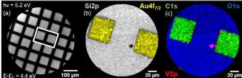 A An Energy Filtered Peem Image Of The Gold Pattern Silicon Substrate