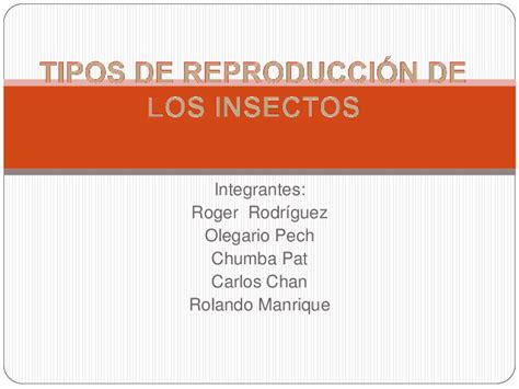 Ppt Tipos De Reproduccion De Los Insectos Olegario Pech Canche