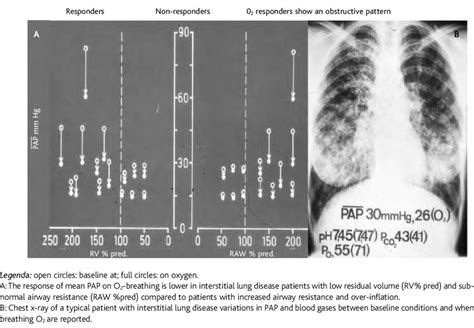 Dependency Of Mean Pulmonary Artery Pressure Pap Response On