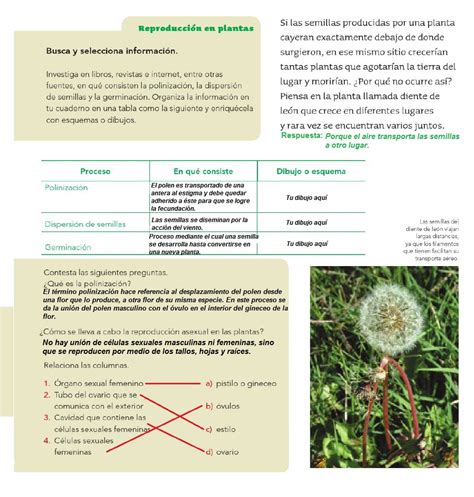 Respuestas Del Libro De Ciencias Naturales 4 Grado Libros Famosos