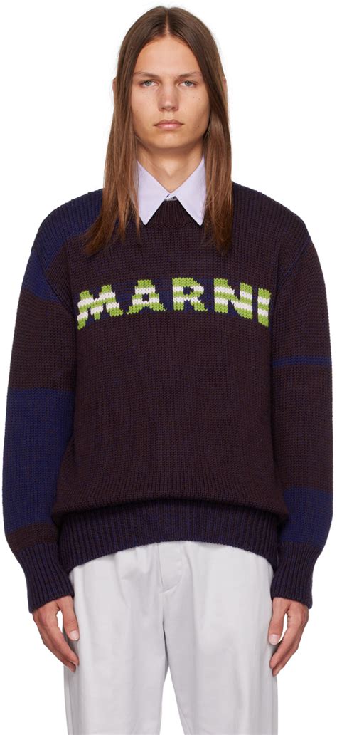 Brown Blue Striped Sweater By Marni On Sale