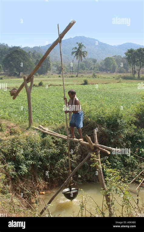 Traditional Irrigation