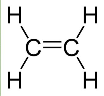 Sh2 Lewis Structure