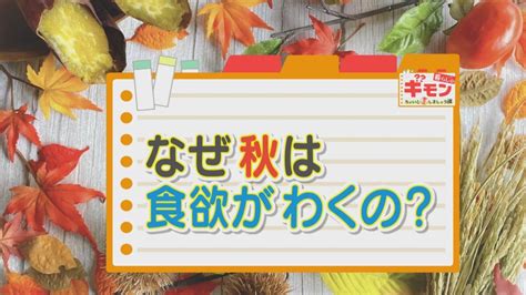 「秋はなぜ食欲がわくの？」食欲の秋には理由があった！止まらない食欲と体重増加を防ぐコツとは Cbc Magazine（cbcマガジン）