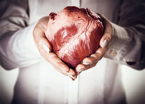 D Printed Organs Could Save Lives By Addressing The Transplant Shortage