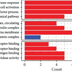 The Functional Enrichment Analyses Of DEGs A The GO Analyses