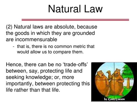 Ppt Todays Assignment Natural Law Powerpoint Presentation Free Download Id2764845