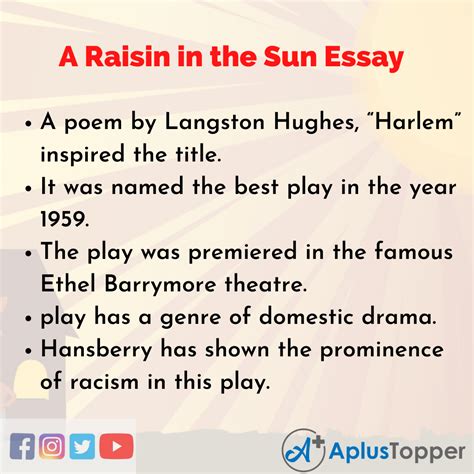 A Raisin In The Sun Essay Essay On A Raisin In The Sun For Students