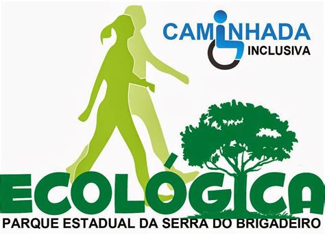 Blog Da Colunista Tania Gusman Caminhada Inclusiva Sendo Organizada