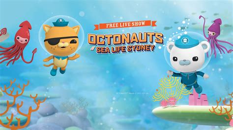 Discover Octonauts Wallpaper Latest In Cdgdbentre