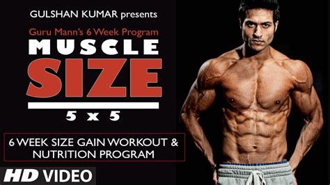 Size Gain Workout Program Overview Muscle Size 5x5 Program By Guru