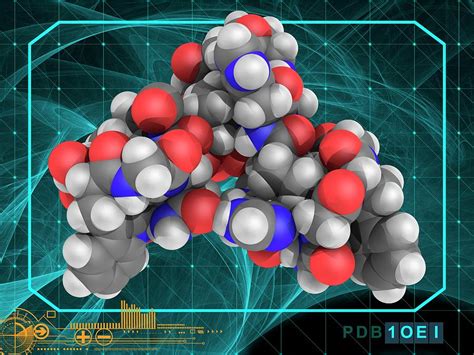 Human Major Prion Protein Molecule Photograph By Laguna Designscience Photo Library Fine Art