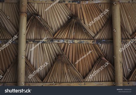 Nipah Palm Leaves Use Old Roof Stock Photo 1258594528 | Shutterstock