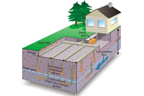 Septic System Basics For Your Rural Property