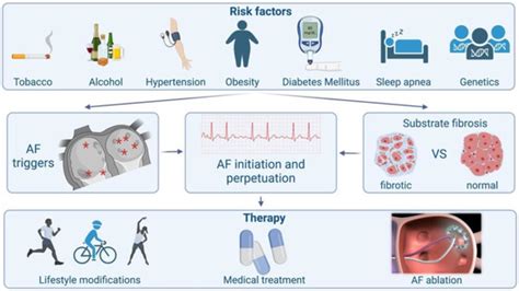 Life Free Full Text Mechanisms Of Atrial Fibrillation How Our