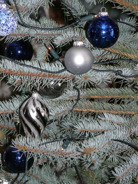 Christmas Ornaments Sparkle Blue Tree Free Image Download