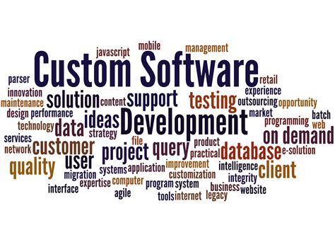 Programming Languages For Custom Software Development