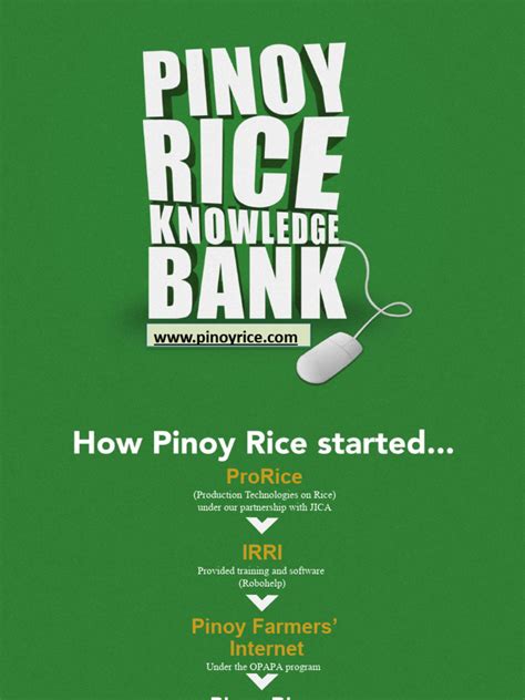 Pinoy Rice Knowledge Bank Pdf