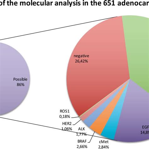 Evolution Of Radialendobronchial Ultrasound Rebus Diagnostic