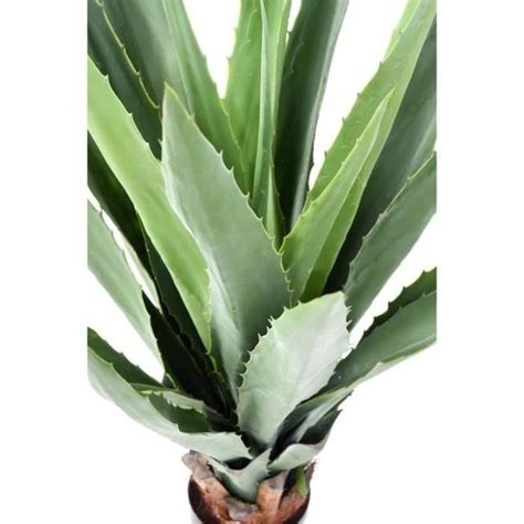 Plante Artificielle Agave Furcraea Int Rieur Ext Rieur H Cm