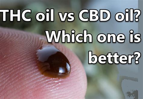 THC Oil vs CBD Oil? Which one is better?