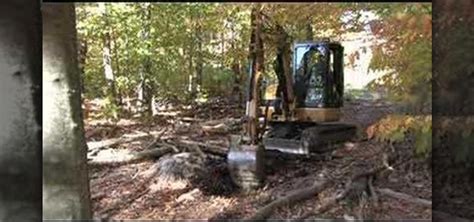 How To Remove Tree Stumps On Your Property Construction Repair