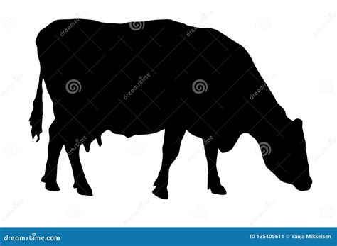 Cow Grazing Silhouette Royalty-Free Stock Photography | CartoonDealer.com #135405611