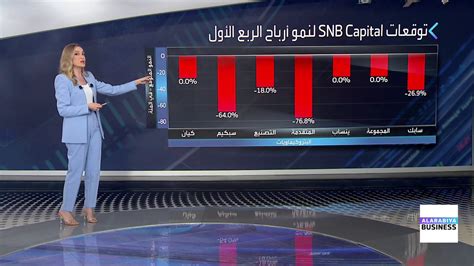 قناة العربية الأسواق ما تحتاج لمعرفته عن أسهم البتروكيماويات في