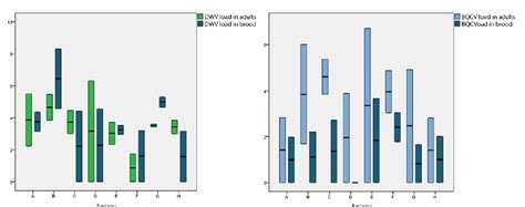 Log Transformed Mean Loads Of Dwv And Bqcv Gec L In Adult And Brood