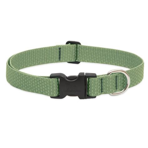 Collar Para Perro Con Broche MOSS Comprar En Busmark