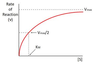 Enzyme Kinetics In Medicinal Chemistry Pharmafactz