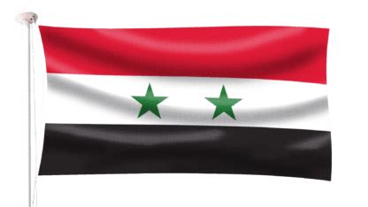 Syria Flag | Hampshire Flag Company