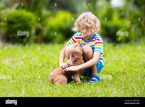 Kids Play With Cute Little Puppy Children And Baby Dog Playing In