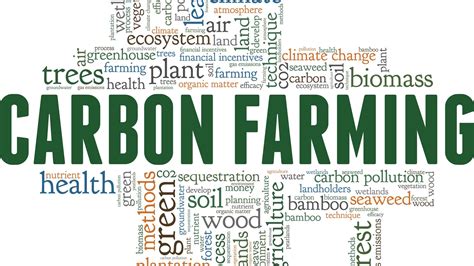 Carbon Farming Cos E Perch Importante Per L Esg Esg