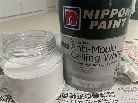 Nippon Paint Odourless Anti Mould Ceiling White Paint Furniture Home