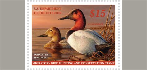 Federal Duck Stamp Collection For Sale Informacionpublicasvetgobgt