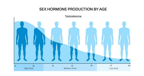 Testosterone Levels By Age Mimit Health