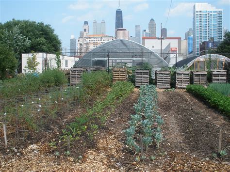 Chicago: From Hoop Dreams to Hoop Houses | Pulitzer Center