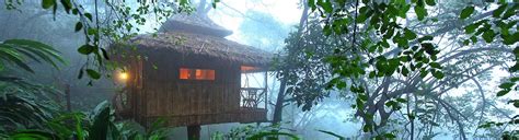 Wayanad Tree House | Tree Houses in Wayanad