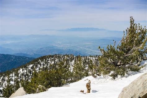 San Jacinto Mountains